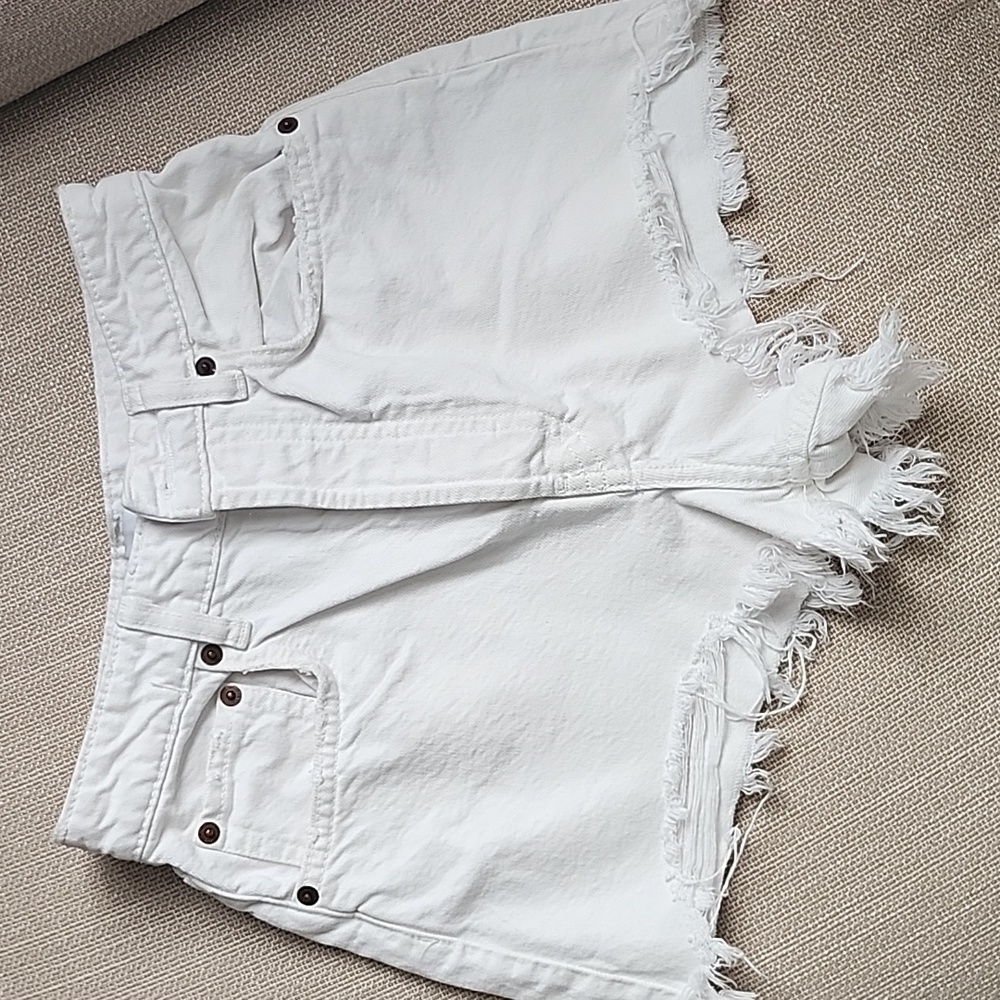 Zara Shorts